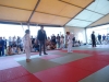 DSC00698-Copy