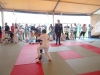 DSC00701-Copy