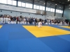 DSC00530-Copy