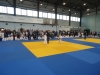DSC00533-Copy