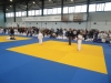 DSC00534-Copy