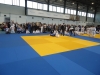 DSC00536-Copy