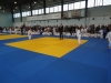 DSC00541-Copy