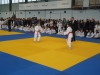 DSC00542-Copy