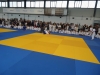 DSC00543-Copy
