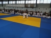 DSC00544-Copy