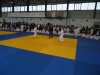 DSC00545-Copy