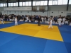 DSC00548-Copy