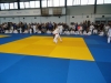 DSC00549-Copy