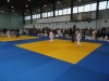 DSC00550-Copy