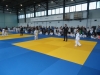 DSC00551-Copy