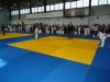 DSC00552-Copy