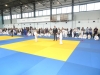 DSC00553-Copy