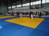 DSC00554-Copy