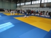 DSC00556-Copy