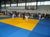DSC00557-Copy