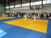 DSC00558-Copy