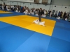 DSC00559-Copy