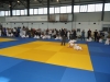 DSC00562-Copy