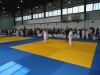DSC00563-Copy