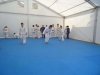 DSC09745-Copy