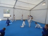 DSC09748-Copy