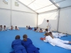 DSC00131-Copy