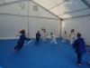 DSC00139-Copy