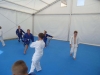 DSC00140-Copy