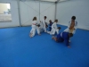DSC00144-Copy