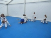 DSC00145-Copy