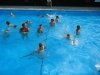 DSC00155-Copy