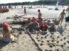 IMG_20190827_104359-Copy