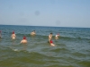DSC00008-Copy