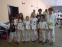 Ogólnopolski Turniej Judo Dzieci i Młodzików - Lipno, 22.06.2013 r.