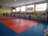 DSC00586-Copy