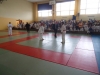 DSC00589-Copy