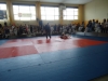 DSC00597-Copy