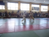 DSC00628-Copy