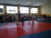 DSC00640-Copy
