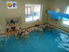 DSC00720-Copy
