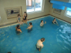 DSC00729-Copy