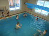 DSC00733-Copy