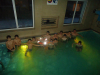 DSC00748-Copy