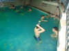 DSC00761-Copy