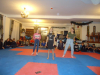 DSC00771-Copy