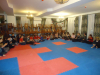 DSC00798-Copy