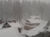 20190114_151552 (Copy)