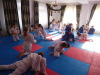 DSC00583-Copy