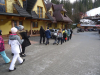DSC00587-Copy